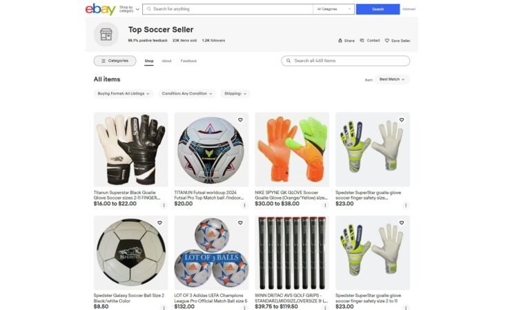 Top Screenshot 3 2026 | Mirza Burhan